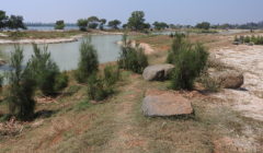 D.J. Academy, Coimbatore