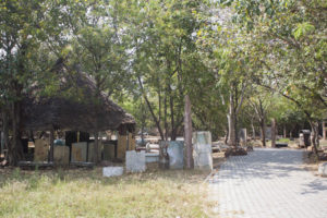 adyar_ecopark_06