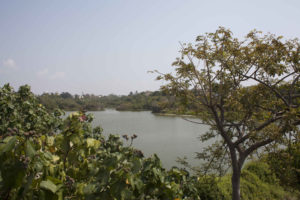 adyar_ecopark_07