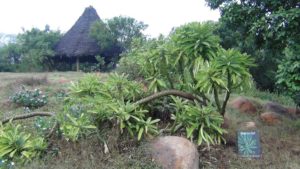 adyar_ecopark_09 (1)