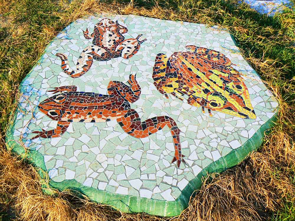 Pitchandikulamforest_artworks (15)