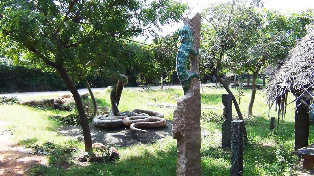 Pitchandikulamforest_artworks (2)