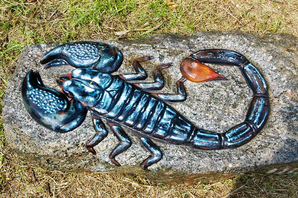 Pitchandikulamforest_artworks (4)