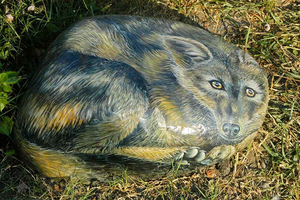 Pitchandikulamforest_artworks (5)