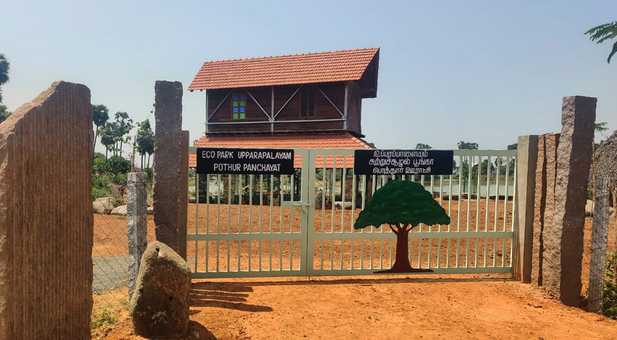 Blue_green_centre_pothur